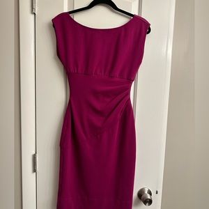 Diane von Furtensberg Women’s Dress in Fuscia Size 2